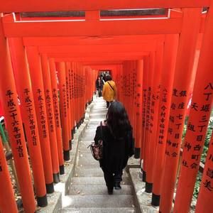 Meet your Posher, Grace